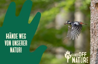 Ein Buntspecht fliegt mit Beute im Schnabel vor einem Baum, begleitet von der Botschaft "Hände weg von unserer Natur!" | © Stefan Urlbauer