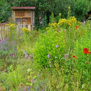 Naturnaher Garten mit einer Wildblumenwiese, Insektenhotel und Holzlattenzaun | © Thomas Staab