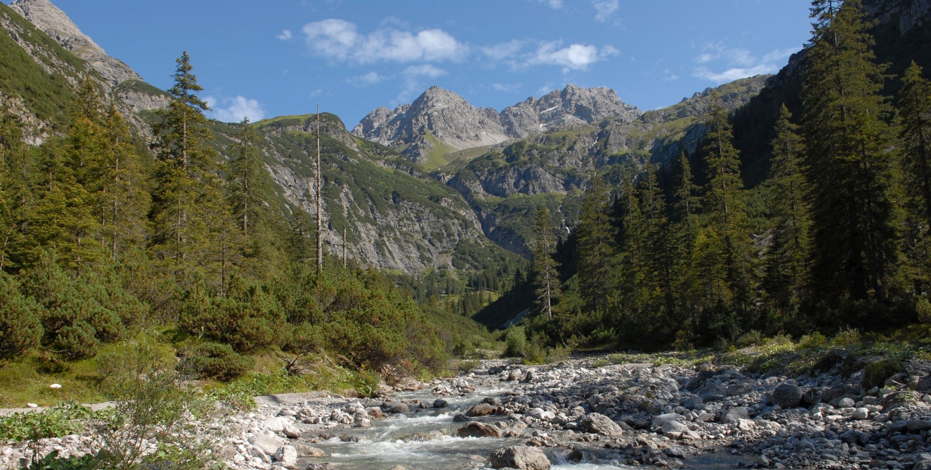 Ein alpiner Bach fließt durch die Lechtaler Alpen, umgeben von üppigen Wäldern und majestätischen Bergen | © Eberhard Pfeuffer