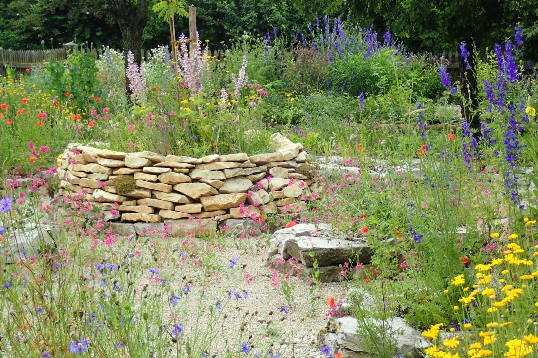 Ein eingewachsener Gartenteich mit Seerosen und Holzsteg | © Carola Bria