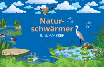 Naturschwärmer - Monatsthema Wasser
