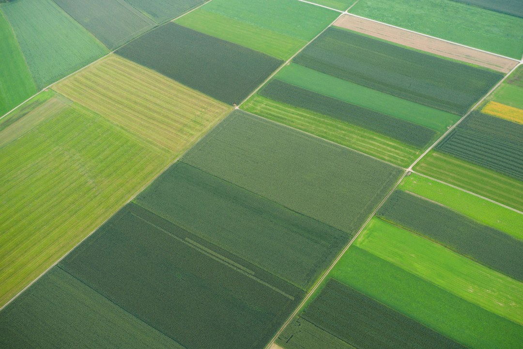 Agrarlandschaft | © Dr. Olaf Broders