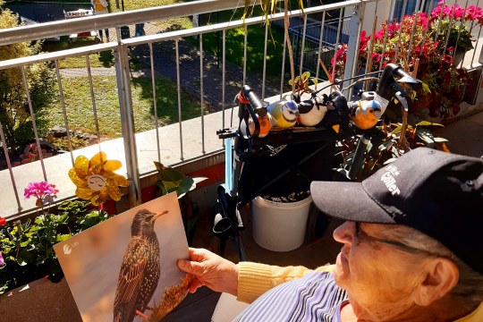 Bewohner schaut interessiert das Starren-Bild an, während er dem Vortrag von Frau Lichtenauer zum Projekt Alle Vögel sind schon da, lauscht | © Silvia Hoehn / Alloheim