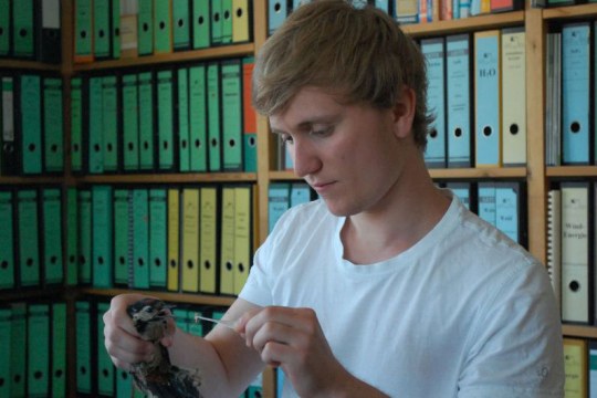 Steffen im Büro