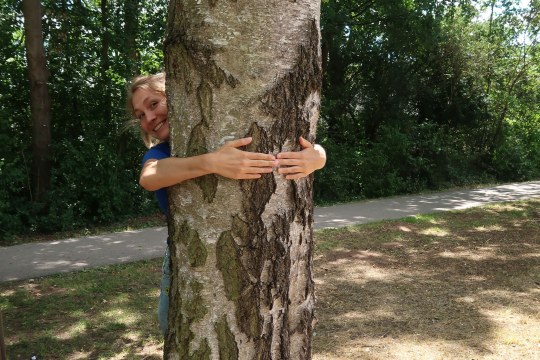 Eine Person misst den Baumdurchmesser, dieser ist kleiner als 50 cm | © LBV