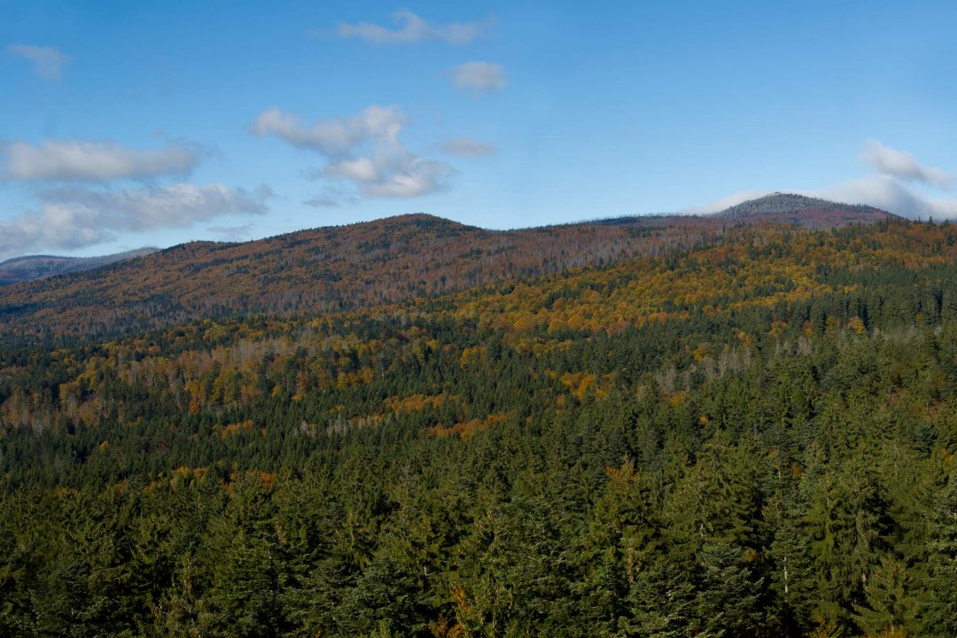 Ansicht von oben auf den Bayerischen Wald | © Marcus Bosch