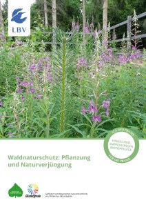 Waldnaturschutz: Pflanzung  und Naturverjüngung