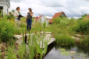 Zwei Frauen unterhalten sich im Hintergrund, im Vordergrund ist ein eingewachsener Gartenteich