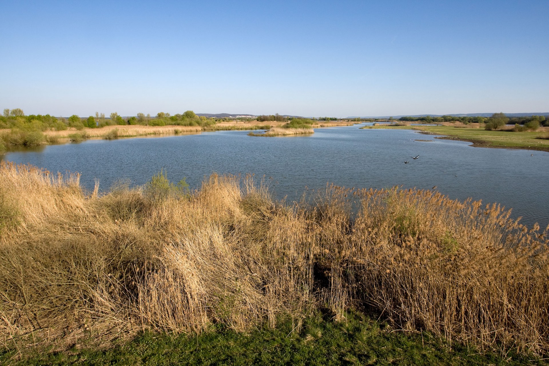 Altmühlsee | © Frank Derer