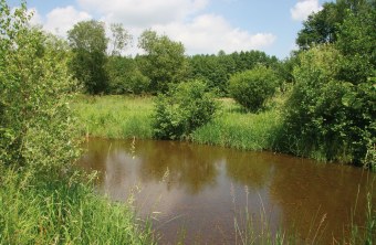 Fluss im LBV-Schutzgebiet Kahlgrund | © Julia Römheld