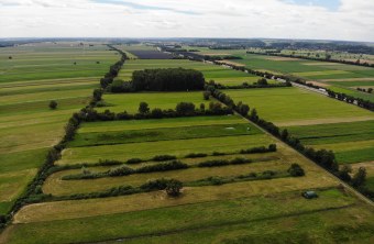 LBV-Schutzgebiet Oberndorfer Ried von oben | © LBV