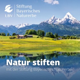 Eine idyllische Landschaft mit Bergen spiegelt sich im See, beworben von der Stiftung Bayerisches Naturerbe und dem LBV.
