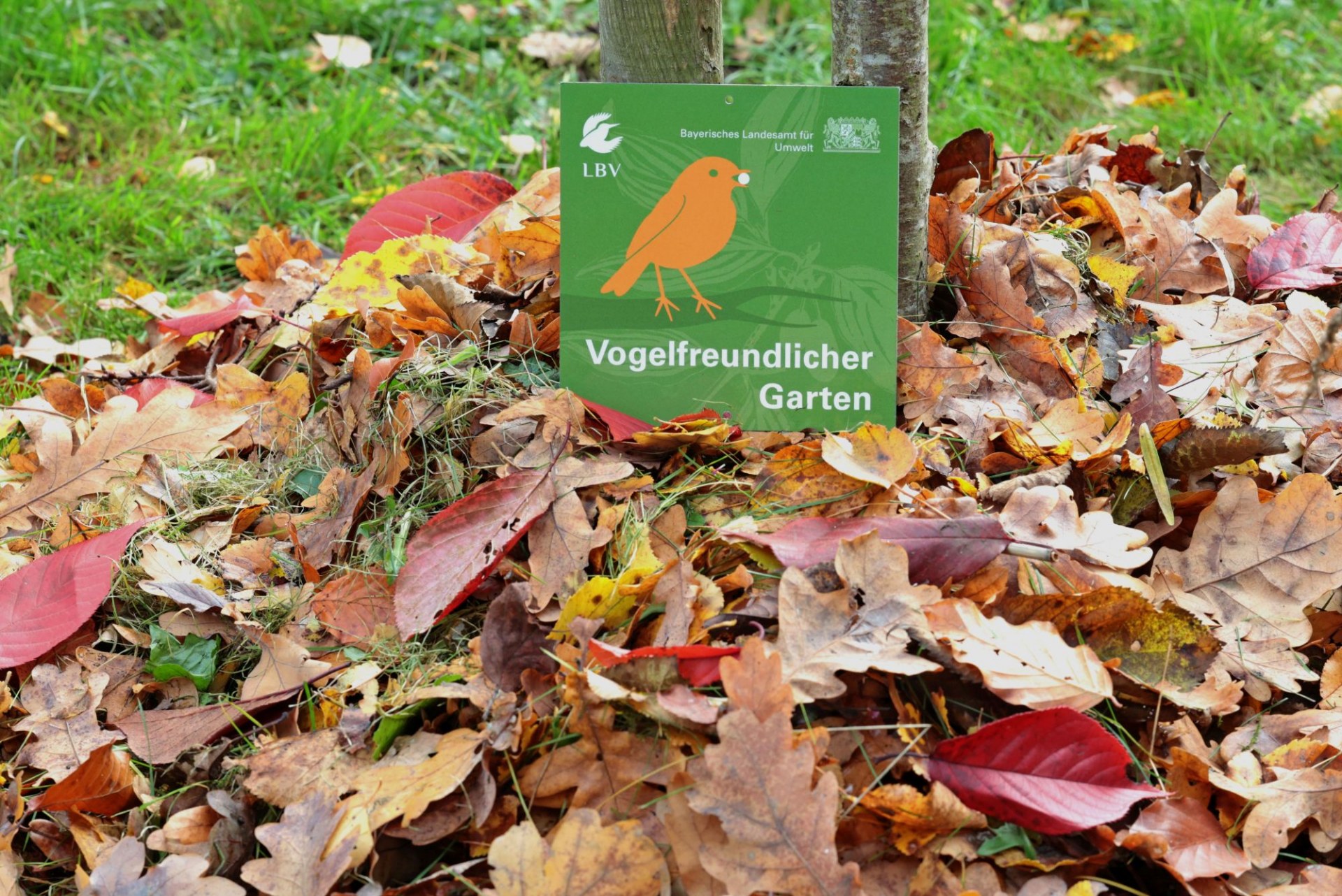LBV-Plakette "Vogelfreundlicher Garten" im Herbstlaub | © Peter Bria