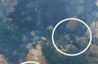 Recka und Sisi im August 2023 | © Jula