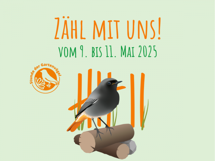 Stunde der Gartenvögel