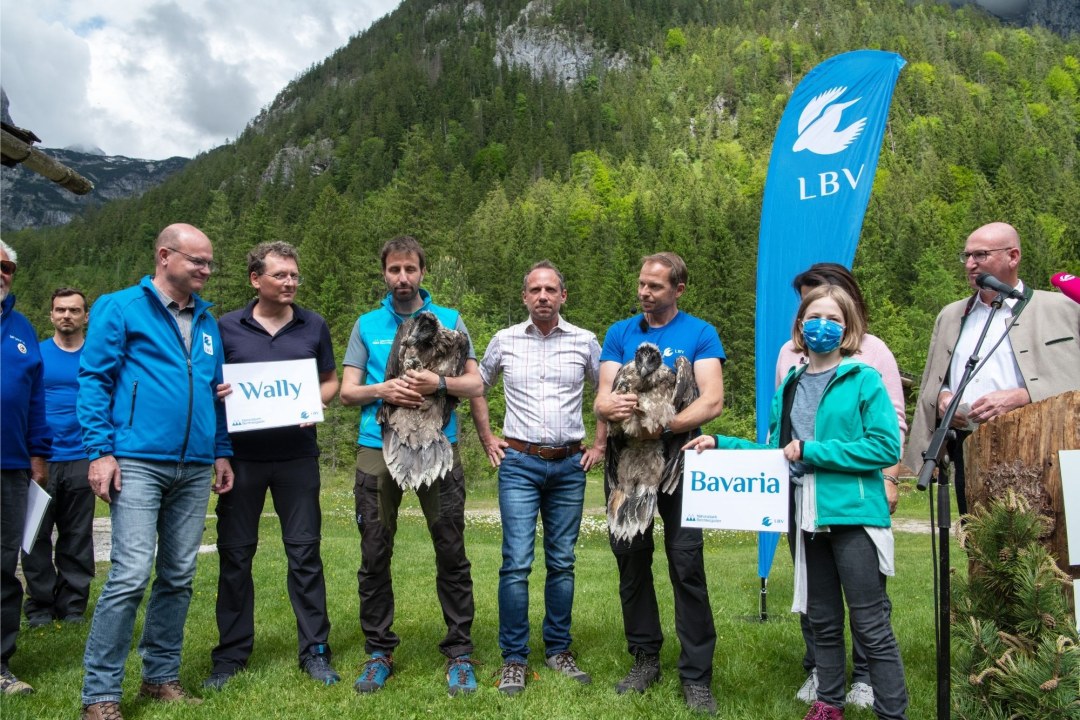 Bartgeier Taufe | © Hansruedi Weyrich