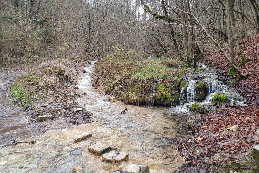 Ausgebaggerter Eggersbachlauf | © Eva Schubert