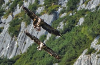 Alosa und Vinzenz |© Christian Steiger