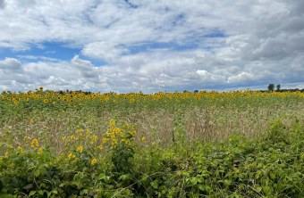 Günzburg | © Andreas Zengerle (Günzburg)
