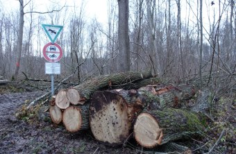 Aufgeschichtete Stämme vor einem Naturschutzschild | © Rudolf Wittmann