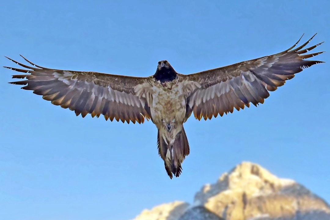 Bavaria | © Markus Leitner