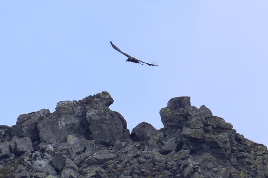 Sisi Hohen Tauern | © Markus Leitner