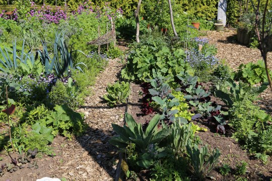 Gemüsegarten | © Peter Bria