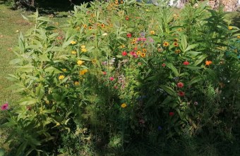 Freising | © Johanna Flassak (Freising)