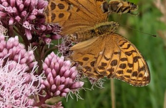 Starnberg | © Katharina Kreye (Starnberg)