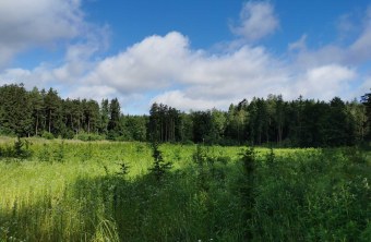 Altötting | © Kerstin Scherf (Altötting)