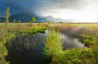 Kochelmoor | © Broders Dr. Olaf