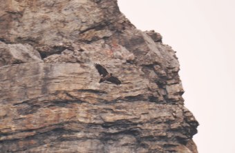 Nepomuk im August 2024 | © Heiner Korneck