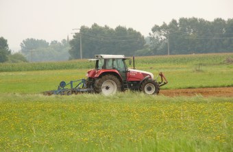 | © Richard Fischer