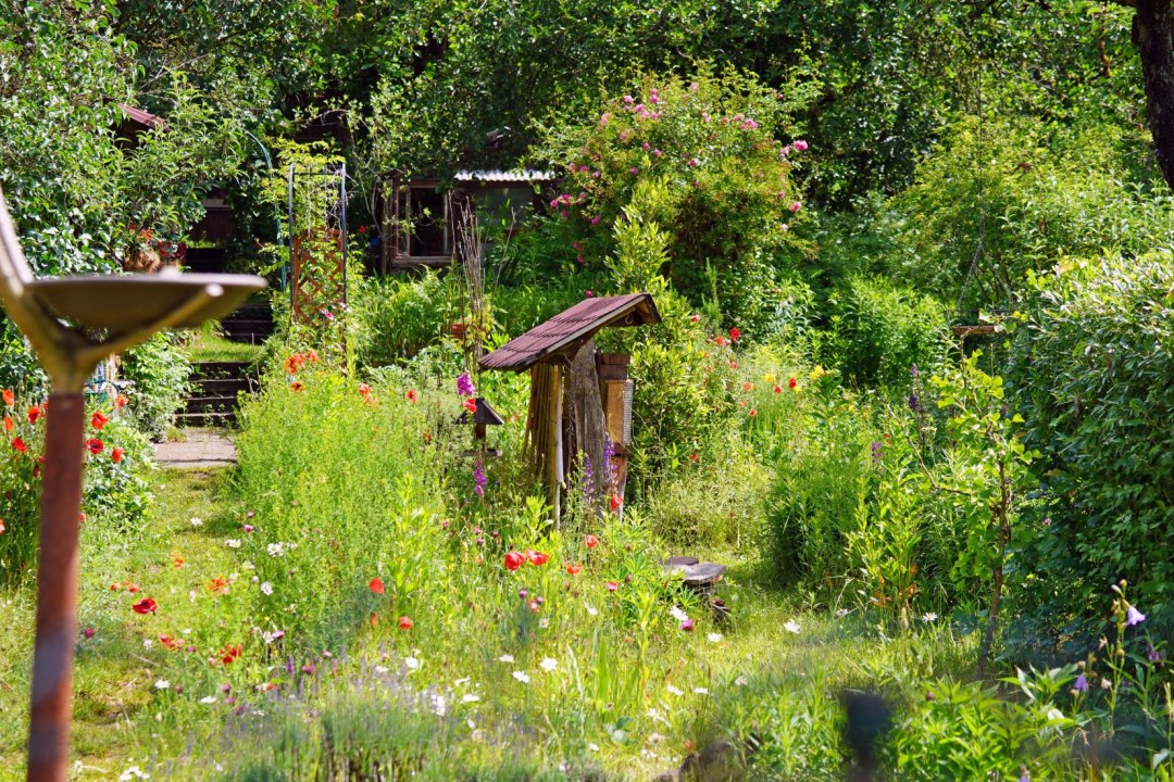 Naturnaher Garten | © Thomas Staab