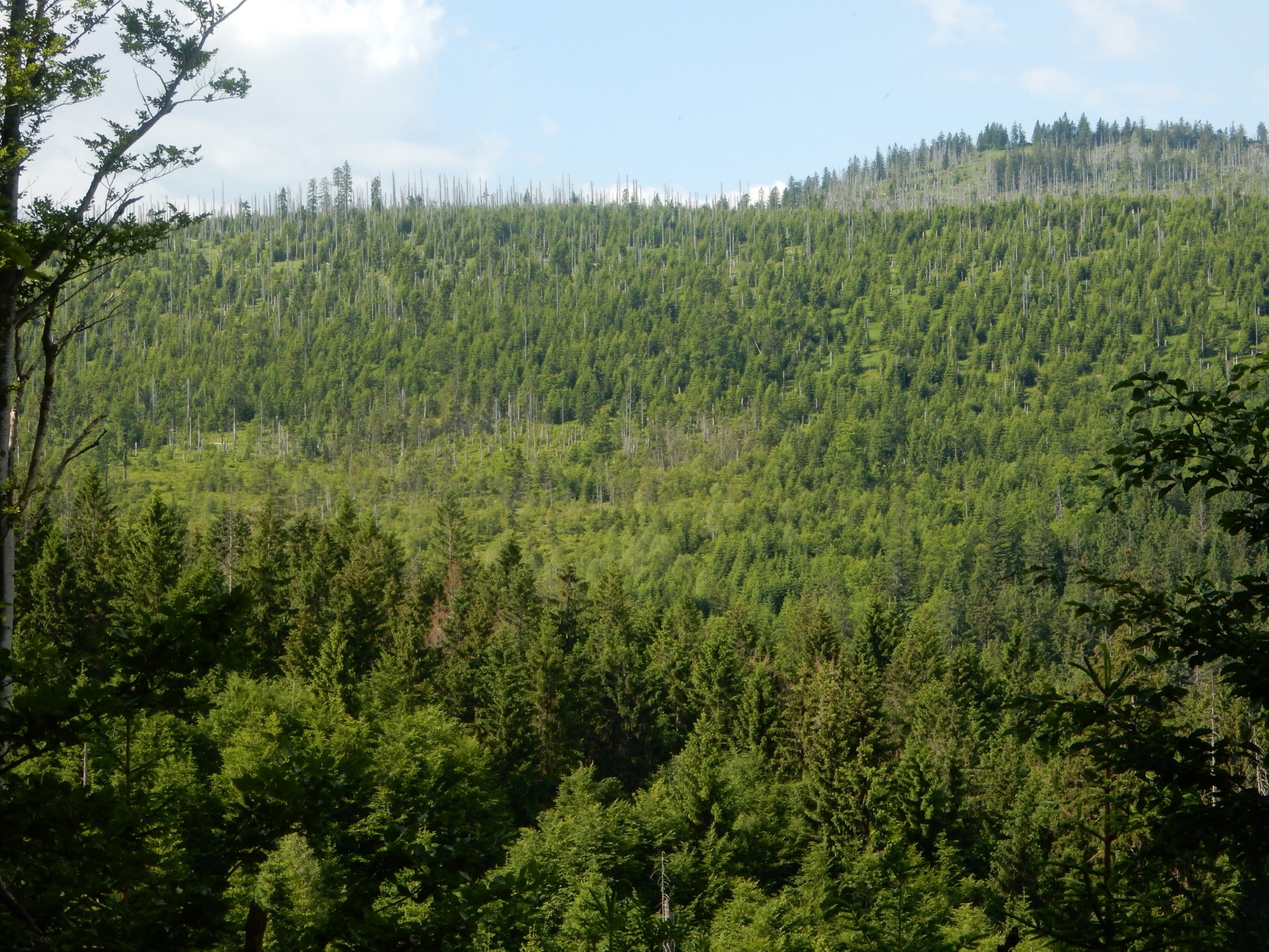 Nationalpark Bayerischer Wald