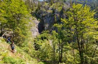 Sendersuche Bavaria  |© Toni Wegscheider, LBV