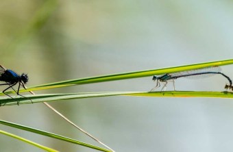 Aichach-Friedberg | © Toni Biehler (Aichach-Friedberg)