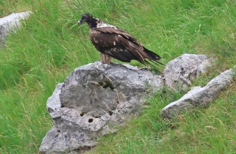 Vinzenz sitzend | © Markus Leitner