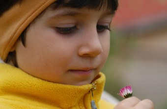 Kind schaut sich ein Gänseblümchen an | © LBV