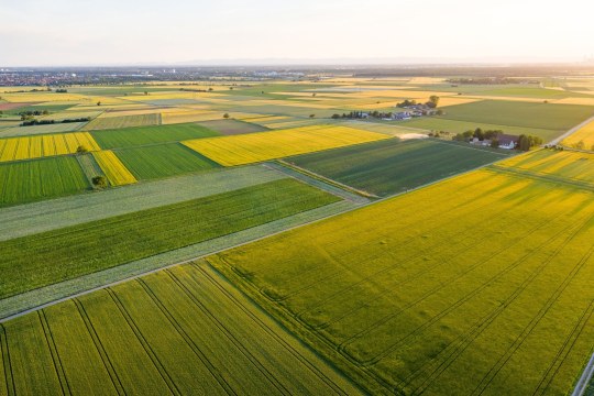 Agrarlandschaft | © Dr. Olaf Broders