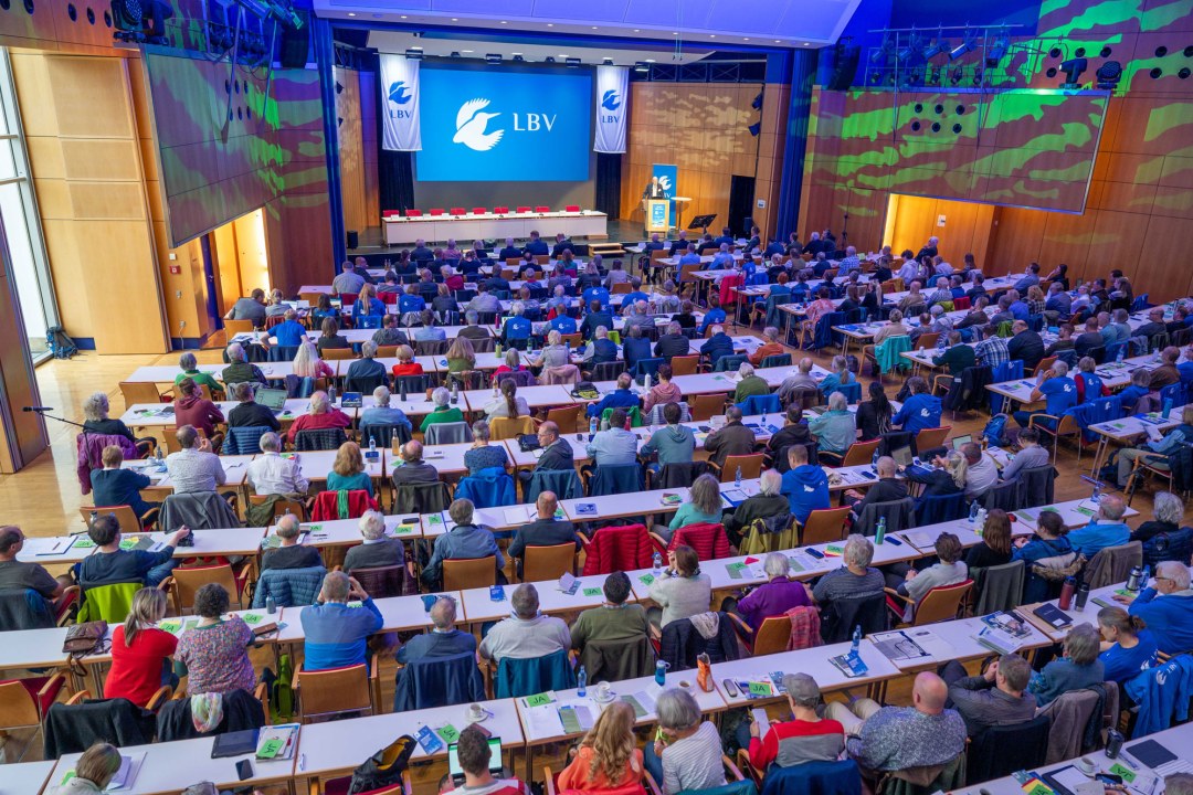 Delegiertenversammlung von oben vom LBV 2024 | © Tobias Tschapka