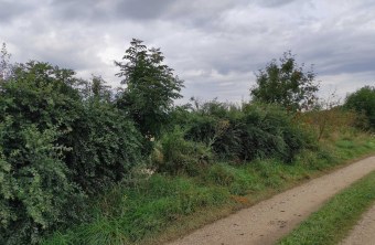 Weißenburg Gunzenhausen | © Franziska Schwab (Weißenburg Gunzenhausen)