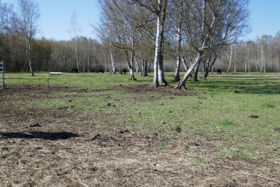 LBV-Schutzgebiet Fußbergmoos | © Nadja Danner