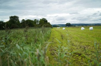 Dingolfing-Landau | © Katrin Riedmayr (Dingolfing-Landau)