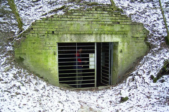 Ein Keller als Fledermauslebensraum | © Dr. Andreas Zahn