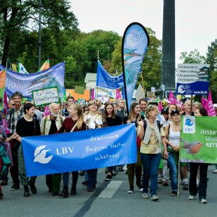 LBV-Demozug bei Mia ham's satt | © LBV