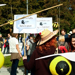 Selbstgebastelte Plakate und Bienen für die Demo | © LBV