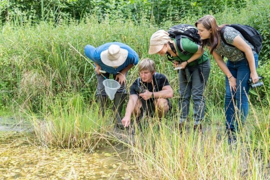 Stille genießen und in die Usprünglichkeit des Waldes eintauchen | ©Roland Brüchner