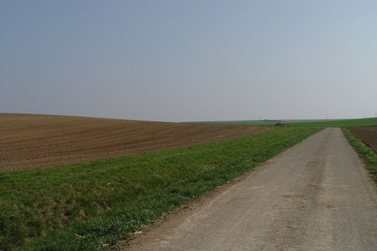 Trister Acker | © Natascha Neuhaus