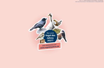 Kandidaten für den Vogel des Jahres 2027, unterstützt vom LBV, zeigen sich in einer bunten Grafik.